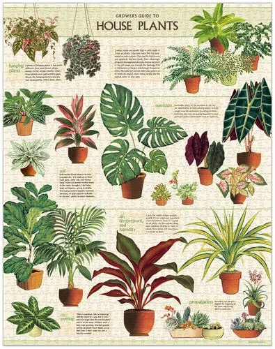  House Plants  - 1000-Piece Puzzle